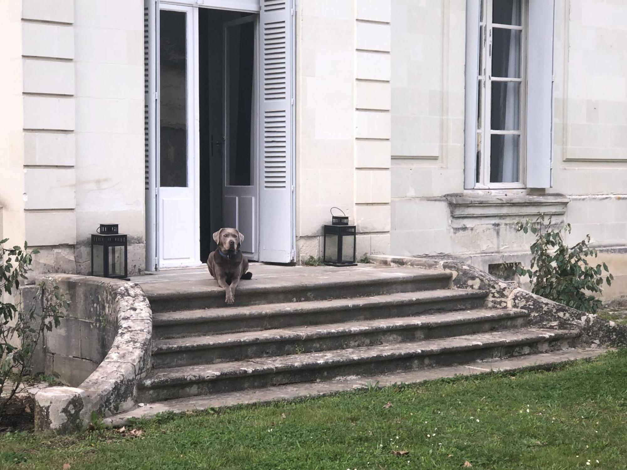 Bed and Breakfast La Grande Carrée à Saint-Cyr-sur-Loire Extérieur photo