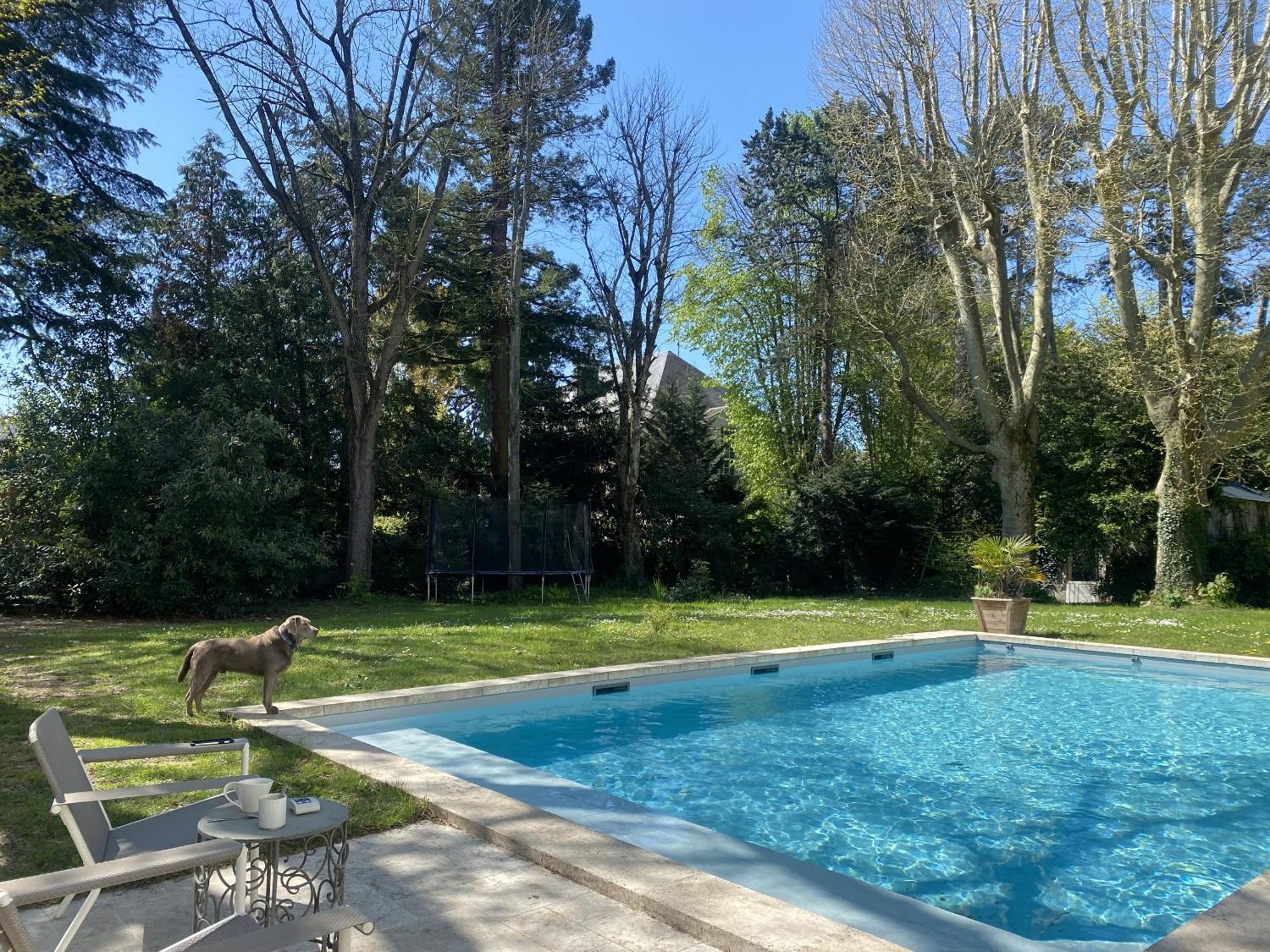 Bed and Breakfast La Grande Carrée à Saint-Cyr-sur-Loire Extérieur photo